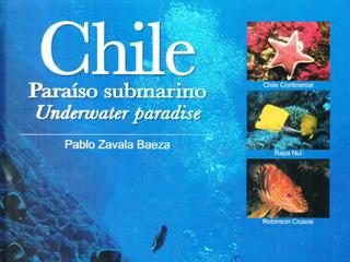 Chile-Paraiso-Submarino