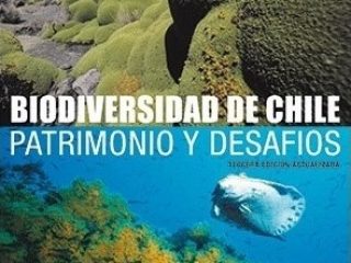 Patrimonios-y-desafíos